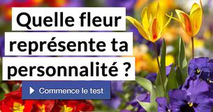 Quelle fleur représente ta personnalité ?