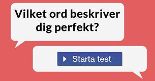 Vilket ord beskriver dig perfekt?