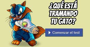 ¿Qué está tramando tu gato?