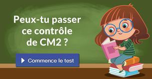 Peux-tu passer ce contrôle de CM2 ?