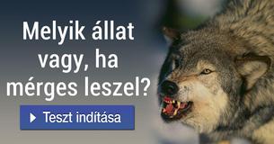 Melyik állat vagy, ha mérges leszel?