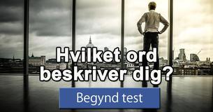 Hvilket ord beskriver dig?