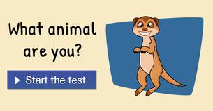 What animal are you?