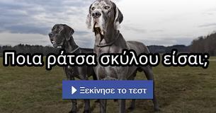 Ποια ράτσα σκύλου είσαι;
