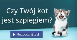 Czy Twój kot jest szpiegiem?