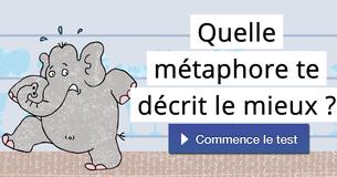 Quelle métaphore te décrit le mieux ?