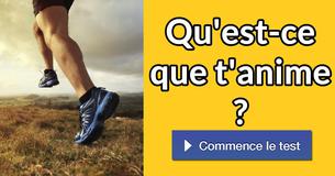 Qu'est-ce que t'anime ?