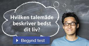 Hvilken talemåde beskriver bedst dit liv?