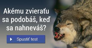 Akému zviera?u sa podobáš, ke? sa nahneváš?
