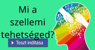 Mi a szellemi tehetséged?
