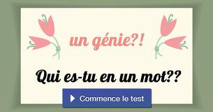 Qui es-tu en un mot ?