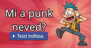 Mi a punk neved?