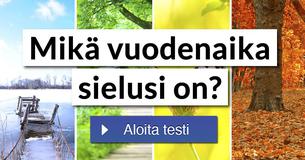 Mikä vuodenaika sielusi on?