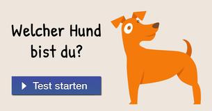 Welcher Hund bist du?