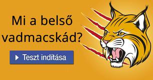 Mi a belső vadmacskád?  