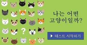 나는 어떤 고양이일까?