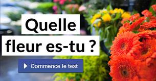 Quelle fleur es-tu ?