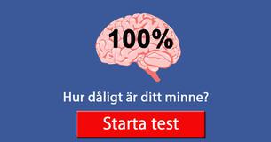 Hur dåligt är ditt minne?