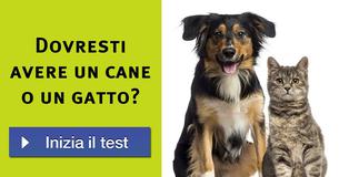 Dovresti avere un cane o un gatto?