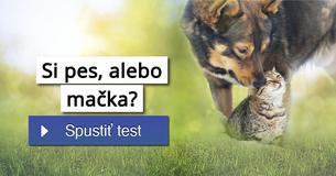 Si pes, alebo mačka?