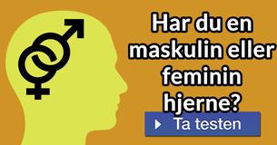 Har du en maskulin eller feminin hjerne?