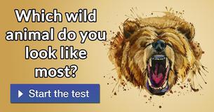 Which wild animal do you look like most? 