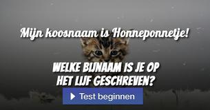 Welke bijnaam is je op het lijf geschreven?