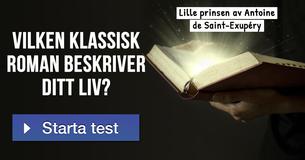 Vilken klassisk roman beskriver ditt liv?