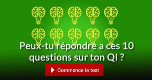 Peux-tu répondre a ces 10 questions sur ton QI ?