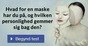 Hvad for en maske har du på, og hvilken personlighed gemmer sig bag den?