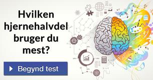 Hvilken hjernehalvdel bruger du mest?