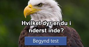 Hvilket dyr er du inderst inde?