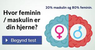 Hvor feminin / maskulin er din hjerne?