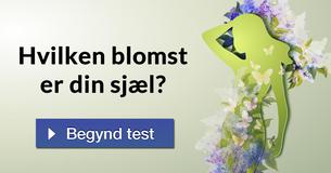 Hvilken blomst er din sjæl?