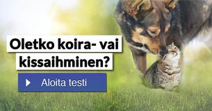Oletko koira- vai kissaihminen?