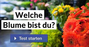 Welche Blume bist du?