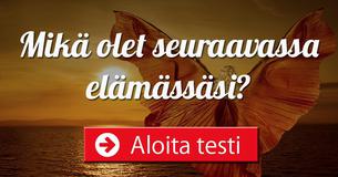 Mikä olet seuraavassa elämässäsi?