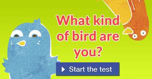 What kind of bird are you?