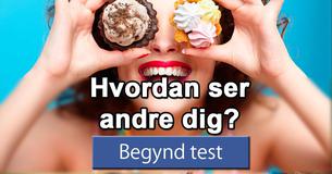 Hvordan ser andre dig?