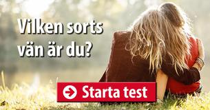 Vilken sorts vän är du?