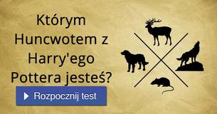 Którym Huncwotem z Harry'ego Pottera jesteś?