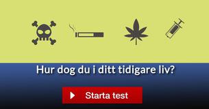 Hur dog du i ditt tidigare liv?