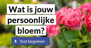 Wat is jouw persoonlijke bloem?
