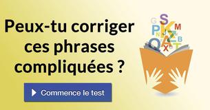 Peux-tu corriger ces phrases compliquées ?