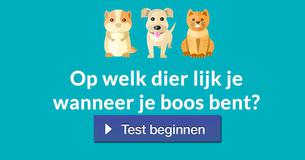 Op welk dier lijk je wanneer je boos bent? 