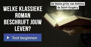 Welke klassieke roman beschrijft jouw leven? 