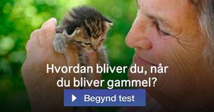 Hvordan bliver du, når du bliver gammel?