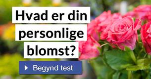 Hvad er din personlige blomst?