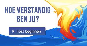 Hoe verstandig ben jij?
