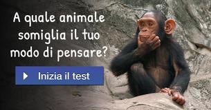 A quale animale somiglia il tuo modo di pensare?